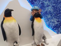 -广州融创文旅城