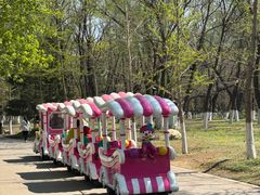 -长白岛森林公园