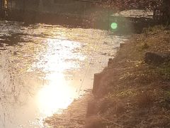 -杭州师范大学(下沙校区)