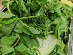 -金鼎雪山牦牛杂火锅(理县总店)