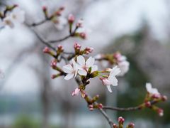 -江南大学(蠡湖校区)