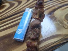 -民族烤羊·烤羊肉串·烤羊排(南城店)