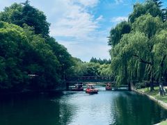 -上海共青森林公园