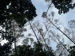 -火炉山森林公园