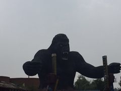 -太阳部落