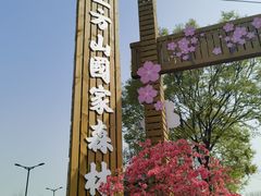 -苏州上方山国家森林公园