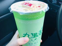 -九里香奶茶果汁(碧湖店)