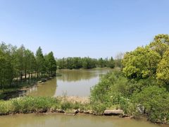 -上海海湾国家森林公园