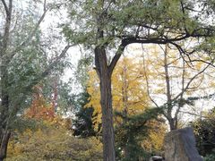 -辽宁大学(崇山校区)