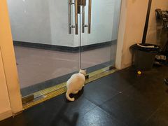 -Doors独立剧情密室(东门分店)