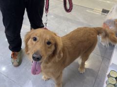 -它主义宠物(梁溪万达店)