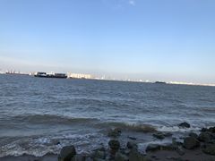 -海鸥岛