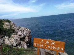 -杨梅坑