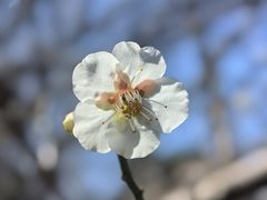 -绍兴镜湖国家城市湿地公园