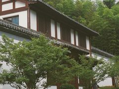 从停车场去径山寺的沿途-径山寺