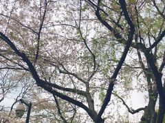 -苏堤停车场