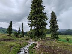 -新疆那拉提国家旅游度假区