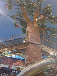 -卡通尼·Safari非洲探索乐园·生日会(金桥国际商业广场店)