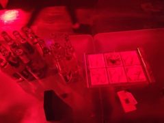 -Dr.Feeling 菲林酒吧(天津店)