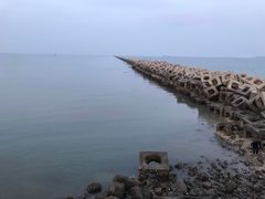 -东疆建设开发纪念公园