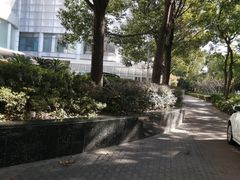 -上海浦东假日酒店