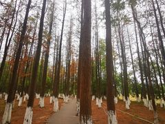 -艾溪湖湿地公园