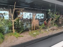 -天津意大利风情旅游区