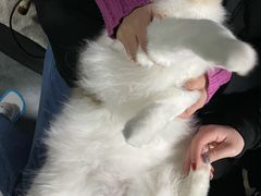 -零纪元VR体验馆·桌游(黄浦店)