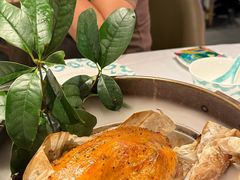 -桂满陇·海市蜃楼·黑金(国金店)