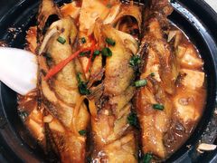 黄骨鱼焖豆腐-来客家食府 · 福建客家菜(厦禾路店)
