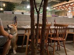 -the rug 飞毯 (朝阳公园店)