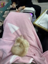 -兔猫ToMoreNails美甲美睫