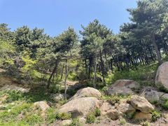 -鲁山国家森林公园