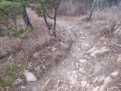 -遵化市禅林寺古银杏风景园