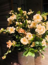 -香秀空间科技抗衰·美容中心