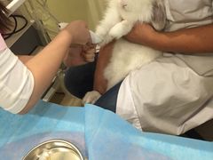-美迦爱-牙专科·兔科·骨科诊疗中心(北苑店)