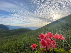 -萍乡武功山风景名胜区