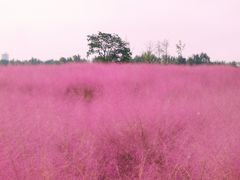 -汉长安城未央宫国家考古遗址公园