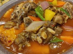 -巴依老爷新疆美食(常营店)