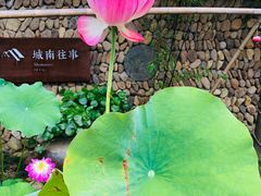 -临江宴餐厅·桐庐菜(富春江店)