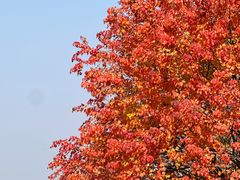 -艾溪湖湿地公园