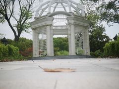 -上海鲜花港