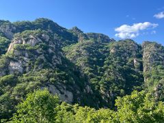-大岭沟猕猴桃谷风景区