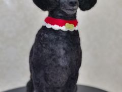 -乐琪宠物(青塔西路店)