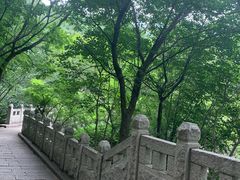 -崂山巨峰游览区