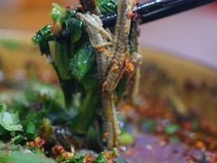 -乐山第一家临江鳝丝(茶坊路店)