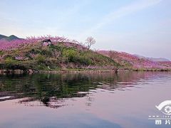 -河口景区