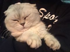 -MIKAKU(万达广场上海宝山店)