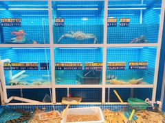 -金龙·打边炉(南京西路店)