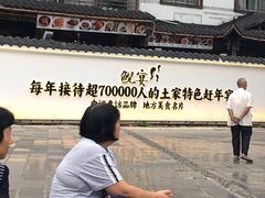 -印象鲵宴·张家界地标美食名片(溪布街店)